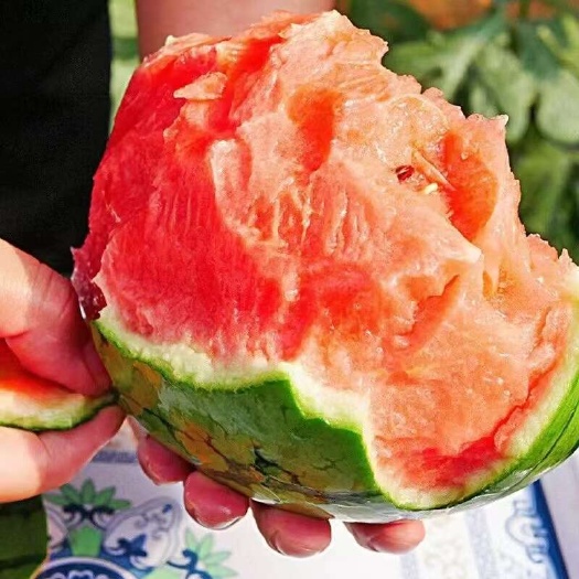 砀山县早春红玉西瓜  精品麒麟西瓜大量上市，质量好，价格低，货源充