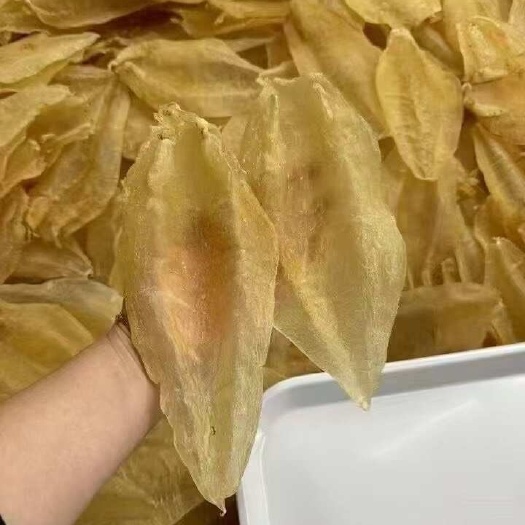 广州北海母胶深海鱼胶鳘鱼胶备孕产后支持一件代发
