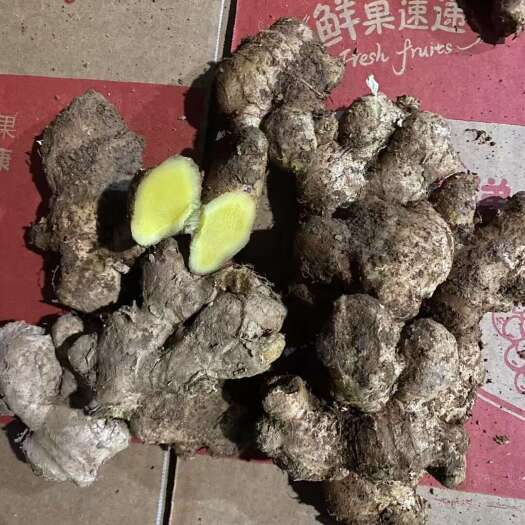 南宁广西黄姜接一件代发需要合作的联系
