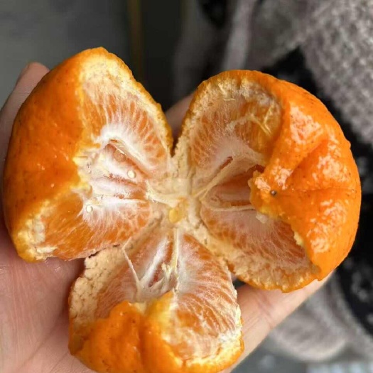沃柑