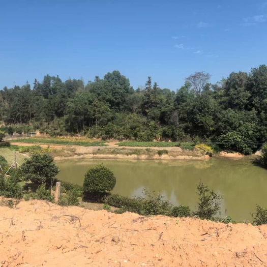 湘乡市湖南湘乡土地经营权出租，有水库、农田、山地、民房，细节请致电