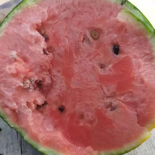 昌乐县小糖丸西瓜
