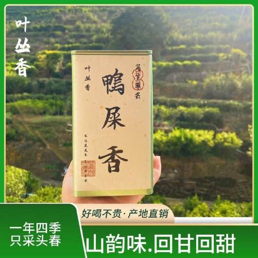 潮州潮州凤凰山原产地乌岽老枞高山碳焙鸭屎香网红鸭屎香500克