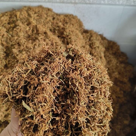 野生金银花开花通货