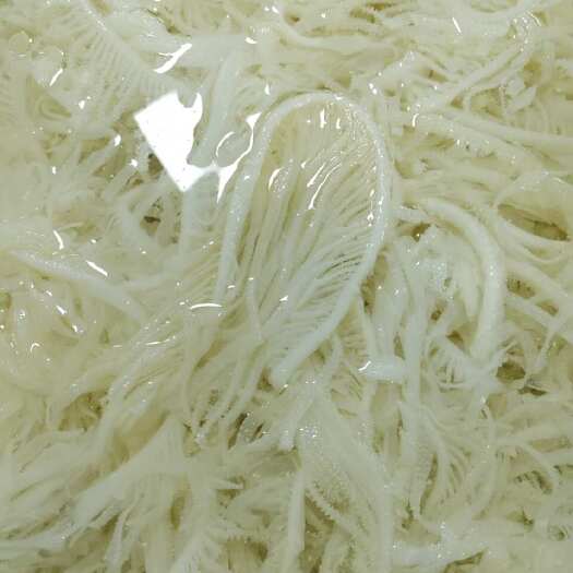 成都水发白千层 牛副产品 成都直发 优质食材