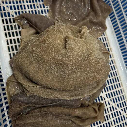 成都水牛小叶片 牛副产品 成都直发 优质食材