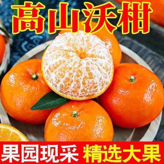 江油市四川沃柑纯甜无酸一件代发电商、团购高山沃柑