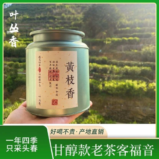 潮州凤凰高山单丛茶【黄枝香】老枞茶碳焙单丛茶