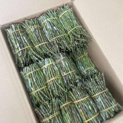 马关县自产自销铁皮石斛鲜条，基地批发，质量保证