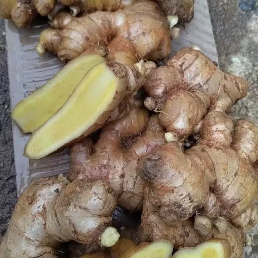 南宁生姜加工货大量供应需要联系