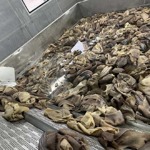 成都黄牛C级大叶片 牛副产品 成都直发 优质食材