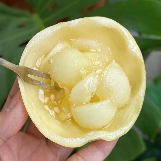 聊城【“小蜜蜂”星甜蜜罐小甜瓜】头茬蜜甜多汁现摘现发