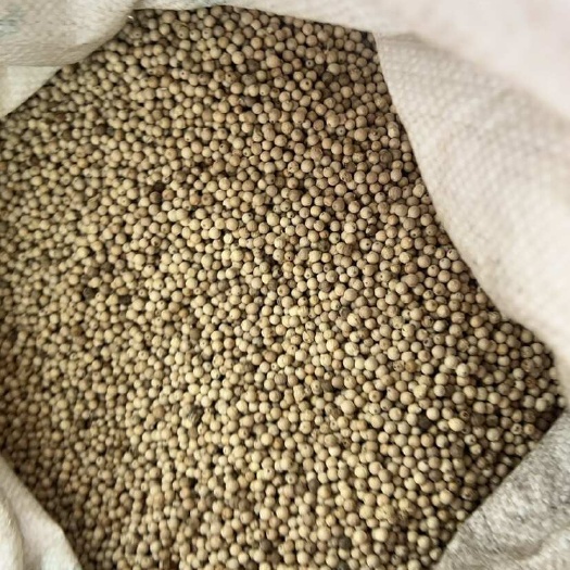 文昌市海南文昌白胡椒粒精选文昌胡椒颗粒（自家种植）