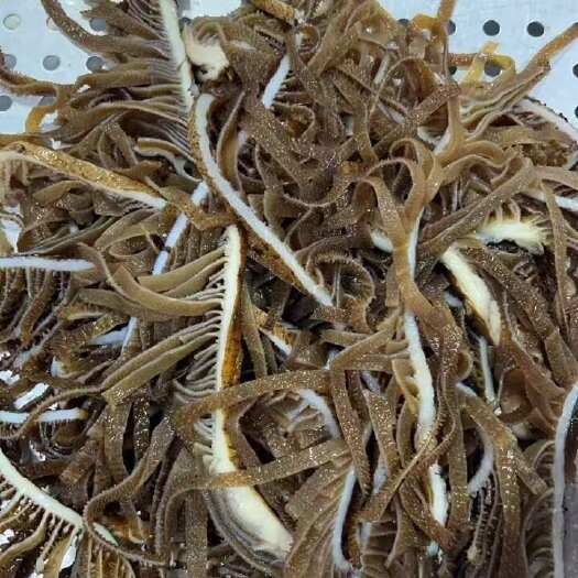 成都茶色千层 牛副产品 成都直发 优质食材