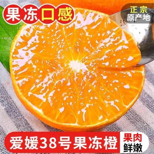 【今日优选】四川青见果冻橙现摘新鲜水果甜柑橘丑桔子冰糖橙子