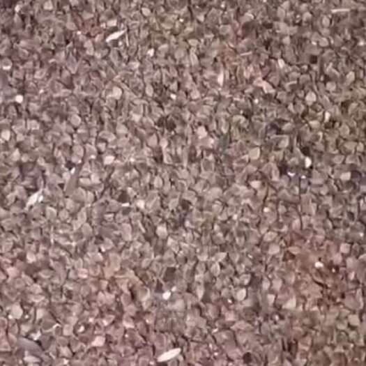 满洲里市苦荞麦壳需要自己二次加工