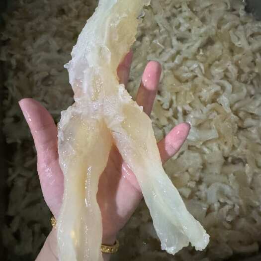成都牛蹄筋主筋 牛副产品 成都直发 优质食材