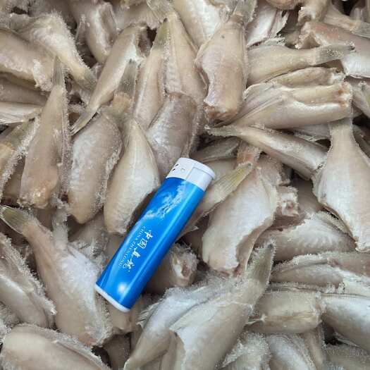 北海火锅食材，单冻三去黄尾马面鱼10/20  20/30