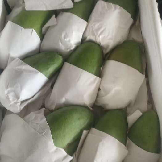 凭祥市越南大青芒，一件代发，一件60斤