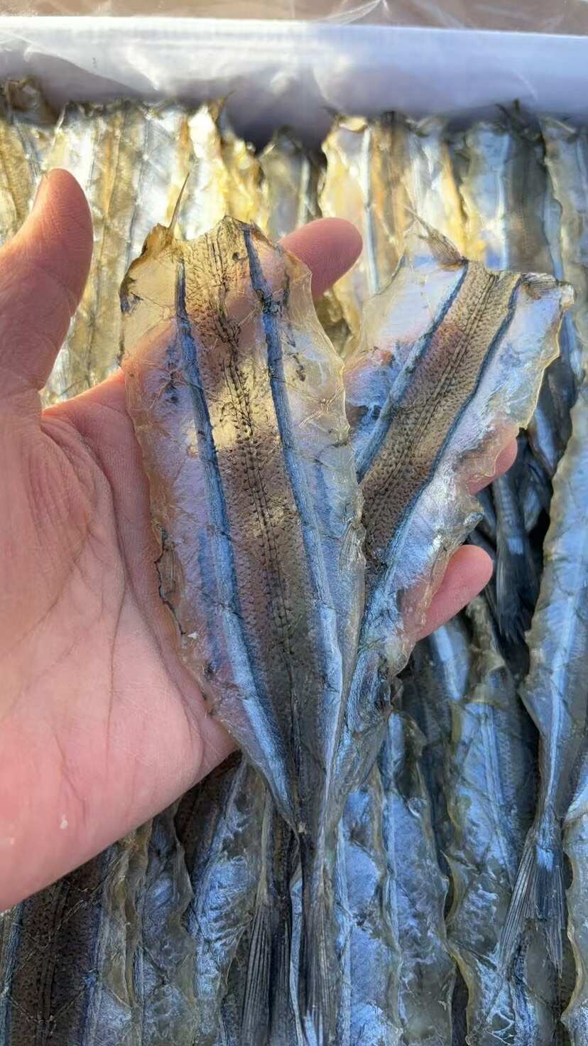 马步鱼 烧烤马步鱼专用  大量有货 价格实惠