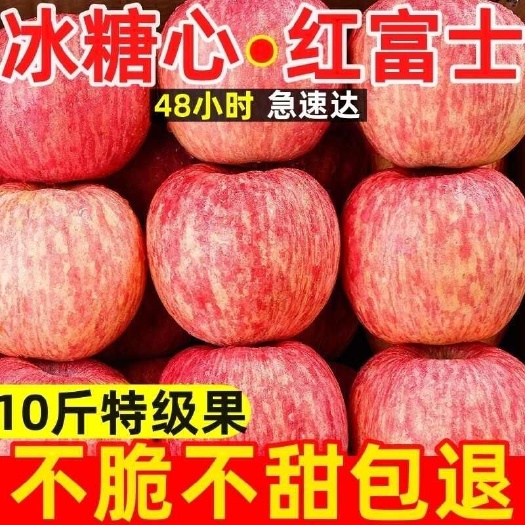 嘉兴当季陕西洛川红富士苹果冰糖心新鲜水果大果批发一整箱脆甜