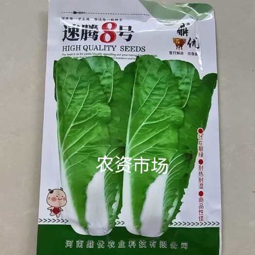 华容县沃优速腾8号快菜 无毛无刺无筋耐湿热抗病高产小白菜种子适应性
