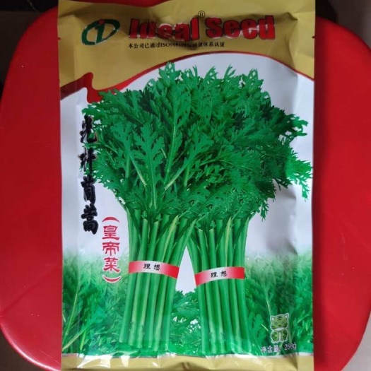 广州大叶茼蒿种子  皇帝菜种子 小叶茼蒿种子 香味横溢 多次采收