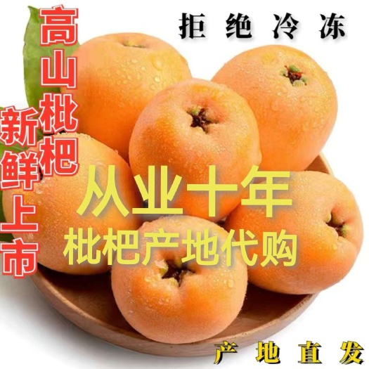 大五星枇杷，产地推荐货源，产地直发，云南发货
