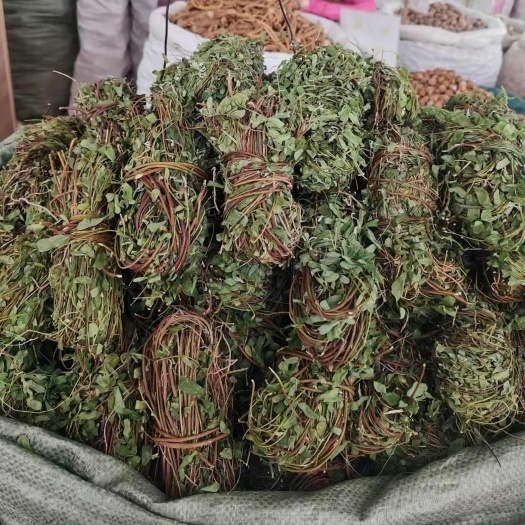 玉林广西鸡骨草鸡骨草叶中草药中药材泡茶煲汤料新鲜无硫批发