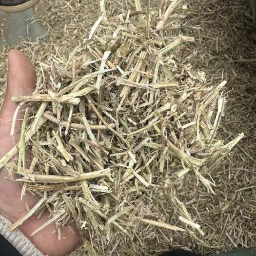 正阳县花生秧