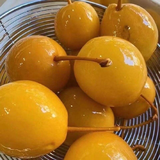 蒙自市曹福来水泡梨云南个旧水泡梨云南泡梨