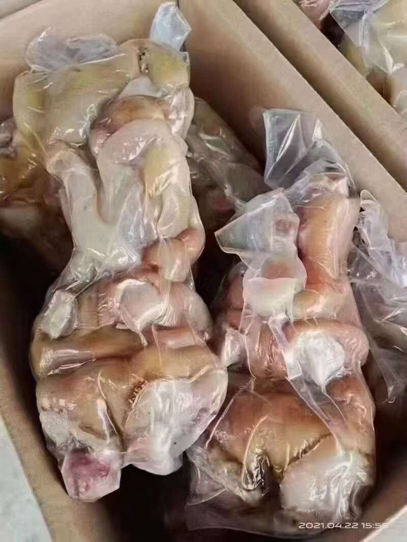 山东临沂新鲜熟牛蹄批发 优质牛副产品肉类供应商