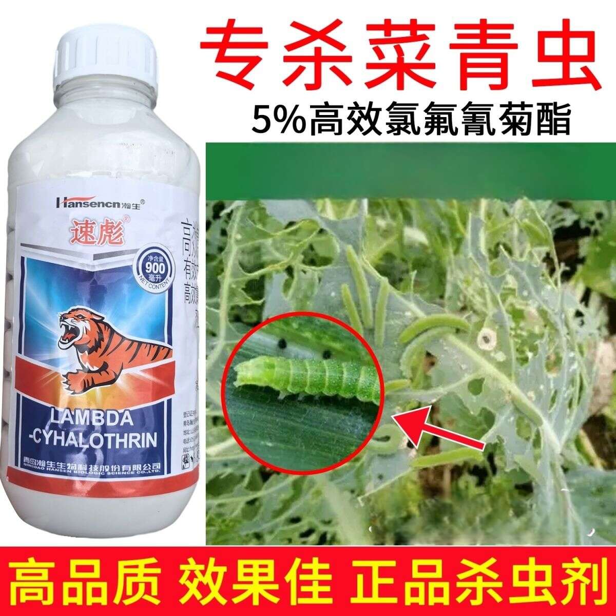 富美真实巴西推出新款氟茚唑菌胺灭菌剂防控花生作物病害