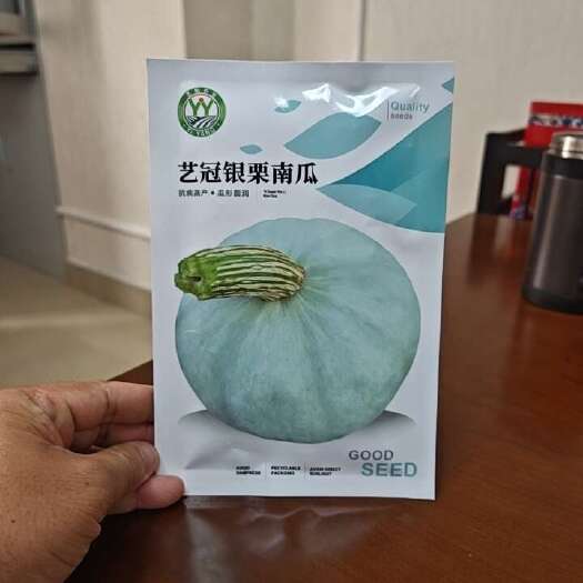 南宁艺冠银栗南瓜