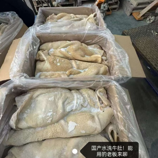 郑州牛肚