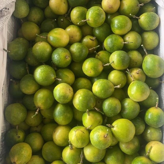 南宁黄金百香果