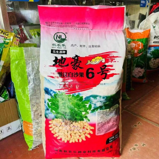 沭阳县地豪6号花生种子