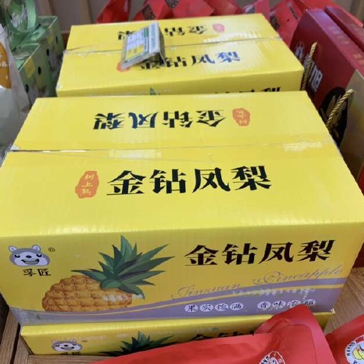 金钻凤梨