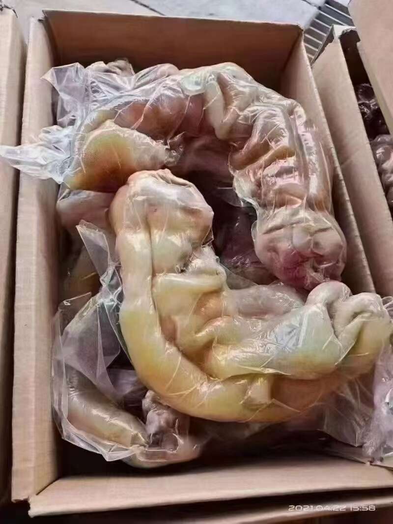 山东临沂新鲜熟牛蹄批发 优质牛副产品肉类供应商