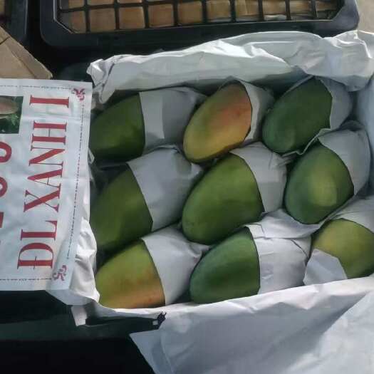 凭祥市越南大青芒