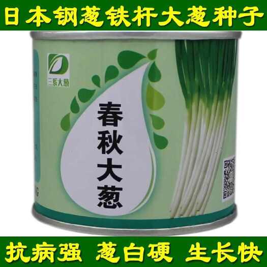 菏泽春秋大葱日本铁杆大葱种子