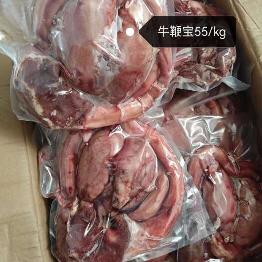 郑州精修牛鞭宝