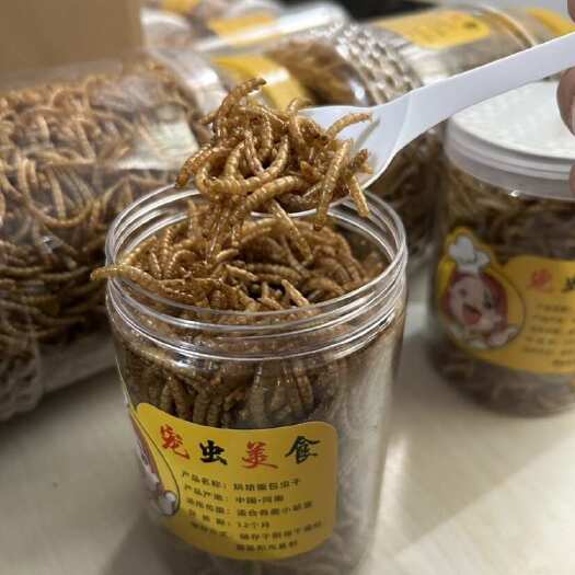 洛阳黄粉虫新货干品，大小订单可发全国可发。高质量高品质