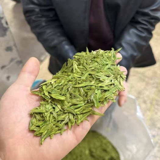松阳县白茶已上市，选的是龙井工艺，高性价比的松阳白茶