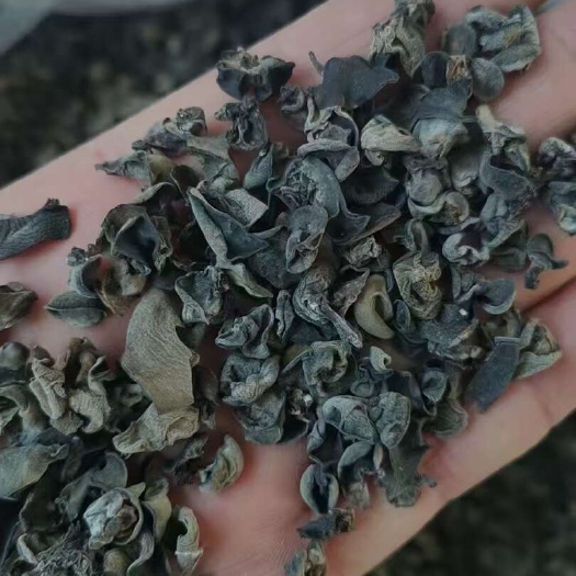 木耳牙子,1.0,质量嘎嘎好,煲汤包包子饺子