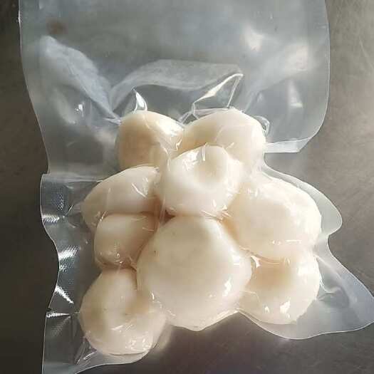 无为市去皮马蹄肉 现削现发 一级中果