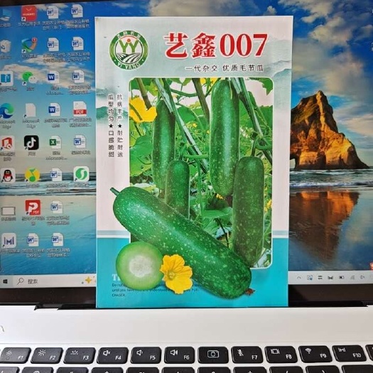 南宁艺鑫007毛节瓜杂交毛节瓜品种，早熟，长势较旺，坐瓜能力强