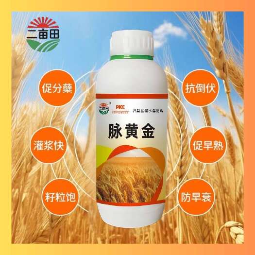 邯郸（脉黄金）小麦高产专用叶面肥，抗寒抗旱，返青快，