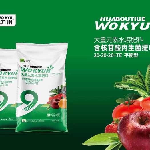 太康县大量元素水溶肥 含核苷酸内生菌提取液