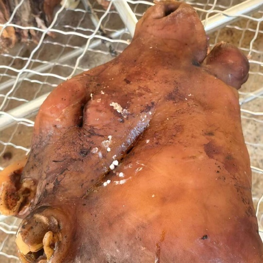 阳信县五香牛头肉